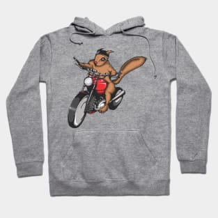 Squirrel on a Bike Hoodie